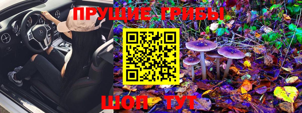 Псилоцибиновые грибы мухоморы Нерюнгри